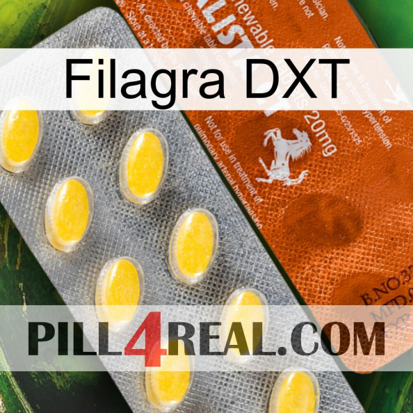 Filagra DXT 42.jpg